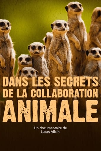 Dans les secrets de la collaboration animale