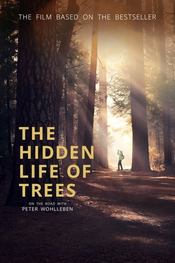 Watch The Hidden Life of Trees