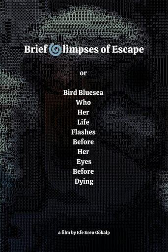 Brief Glimpses of Escape or (Bird Bluesea Who Her Life Flashes Before Her Eyes Before Dying)