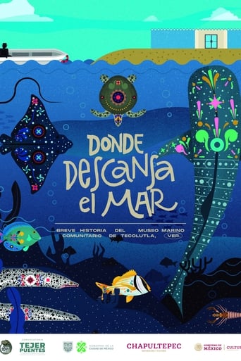 Donde descansa el mar: Breve historia del Museo Marino Comunitario de Tecolutla