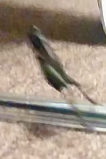 A Cricket Jumping Over a Pen
