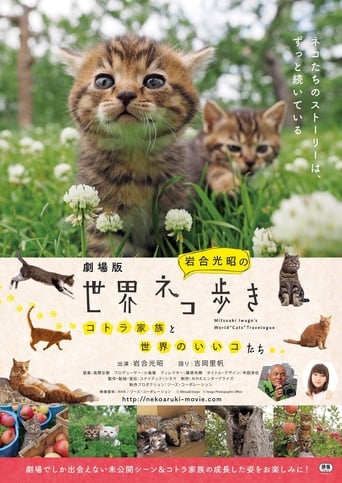 Iwagou Mitsuaki's World Cat Walk