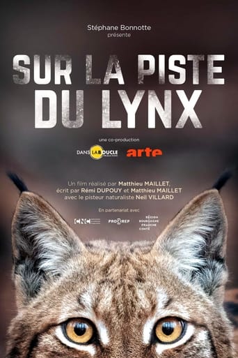 Sur la piste du lynx