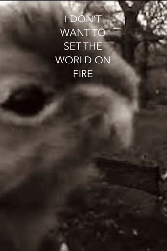 I Don't Want To Set The World On Fire
