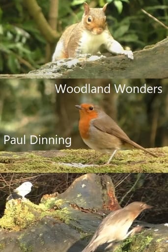 Woodland Wonders