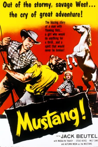 Watch Mustang!