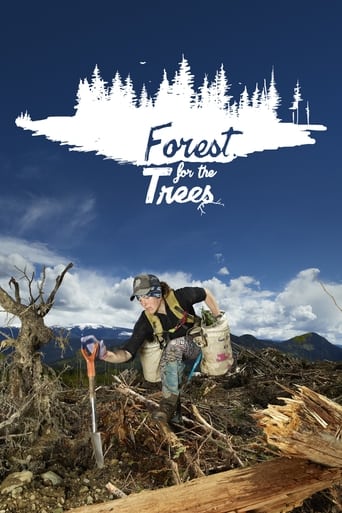Watch Forest for the Trees