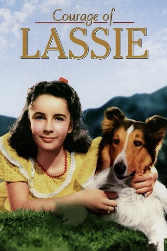 Watch Courage of Lassie