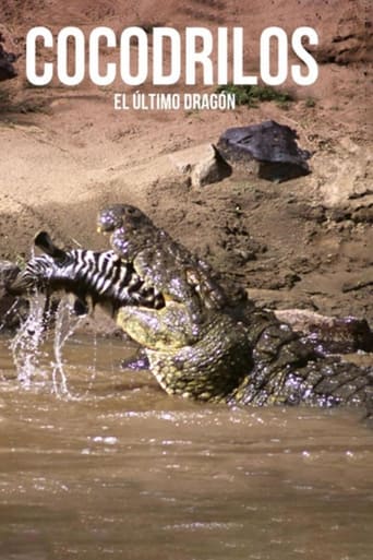 Crocodiles, the last dragon