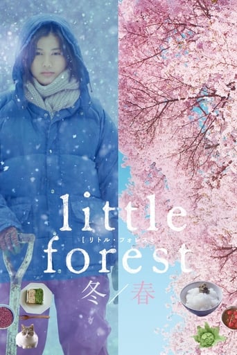 Watch Little Forest: Winter/Spring