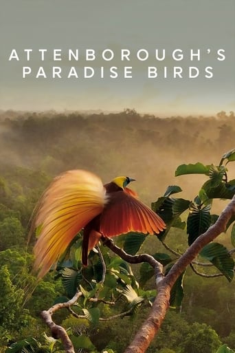 Watch Attenborough's Paradise Birds