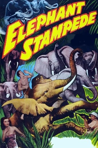Watch Elephant Stampede