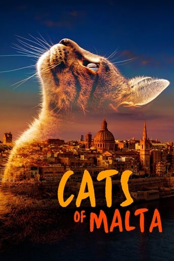 Watch Cats of Malta