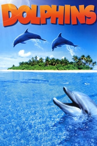 Watch Dolphins