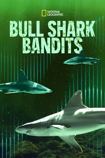 Watch Bull Shark Bandits