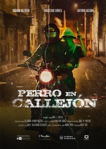 Perro en callejón