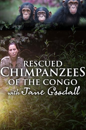 Watch Rescued Chimpanzees of the Congo with Jane Goodall