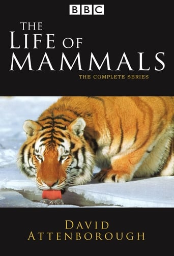Watch The Life of Mammals