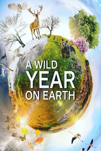 Watch A Wild Year On Earth