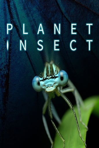 Watch Planet Insect