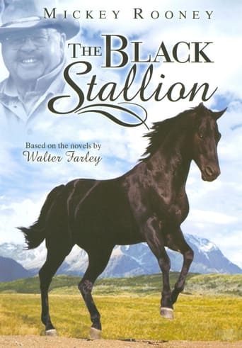 Watch The Adventures of the Black Stallion