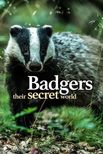 Watch Badgers: Their Secret World