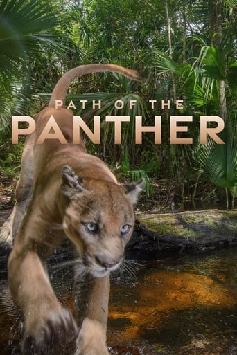 Watch Path of the Panther