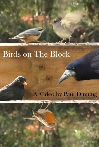 Birds on The Block