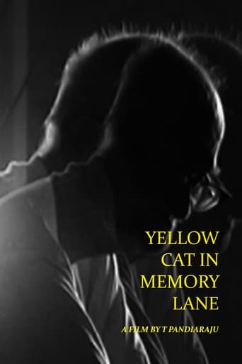 Yellow Cat in Memory Lane