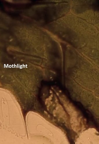 Watch Mothlight