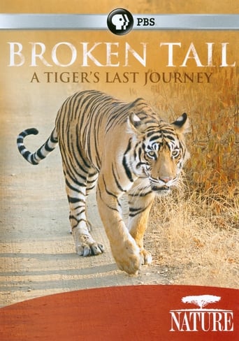 Watch Broken Tail: A Tiger's Last Journey