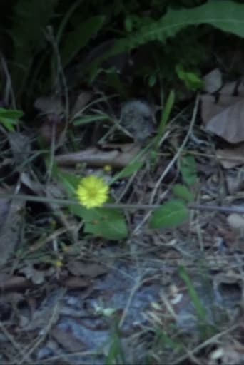 Watch Small Flower