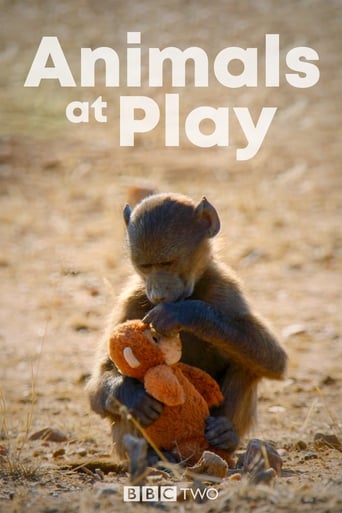 Watch Animals at Play