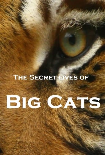 Watch The Secret Lives Of Big Cats