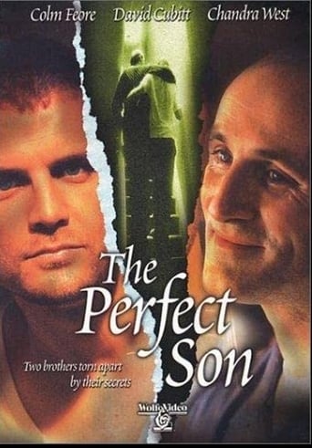 Watch The Perfect Son