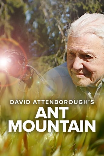 Watch David Attenborough's Ant Mountain
