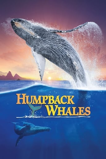 Watch Humpback Whales