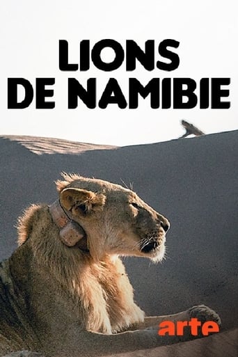 The Desert Lions of the Namib