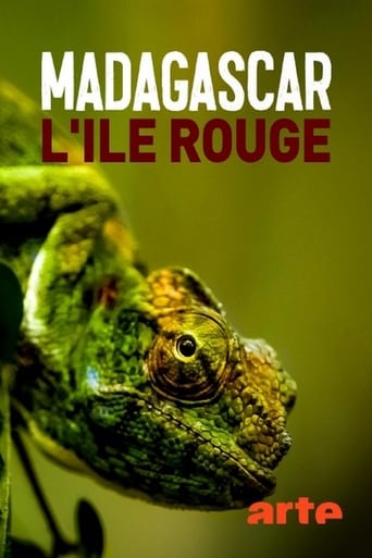 Madagascar, l'île rouge : Le royaume des lémurs catta