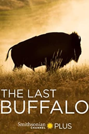 Watch The Last Buffalo