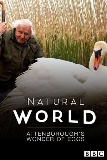 Watch Attenborough's Wonder of Eggs