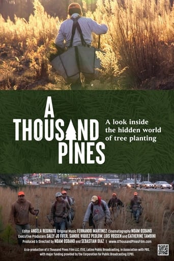 Watch A Thousand Pines