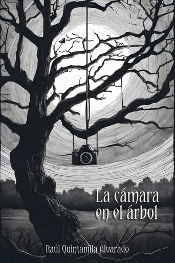 The camera in the tree