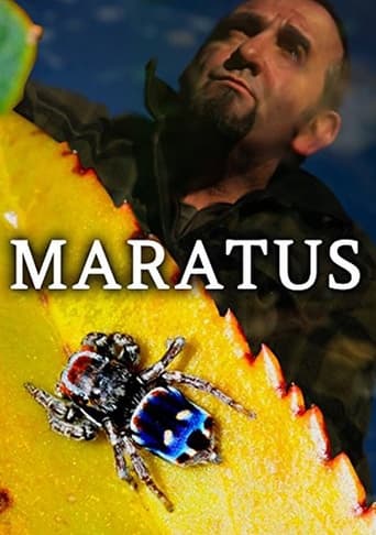 Maratus
