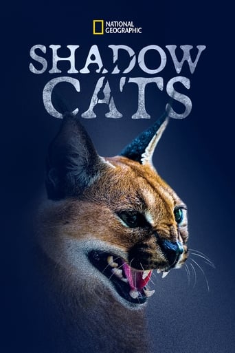 Watch Shadow Cats