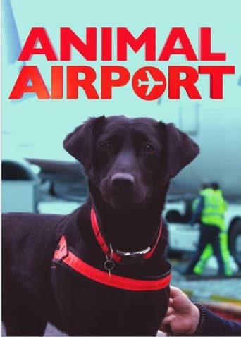 Watch Animal Airport