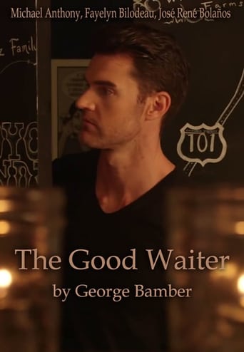 Watch The Good Waiter