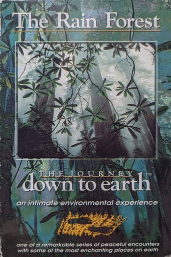 The Journey Down to Earth - The Rain Forest