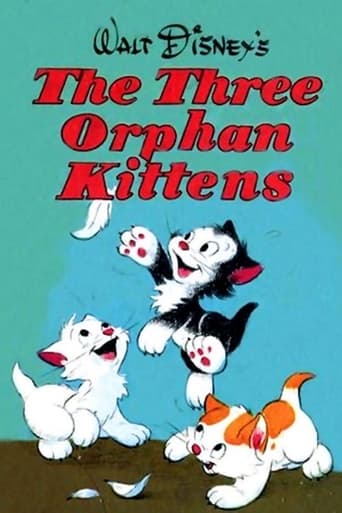 Watch Three Orphan Kittens