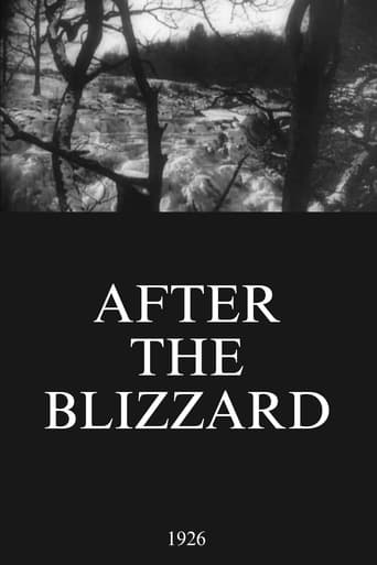 Watch After the Blizzard